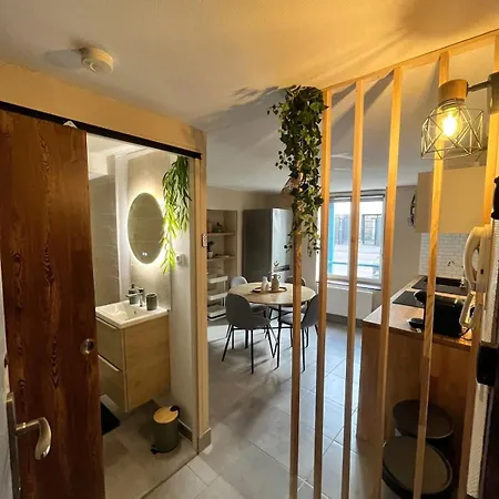 Renove Et Cosy Idealement Situe Apartamento