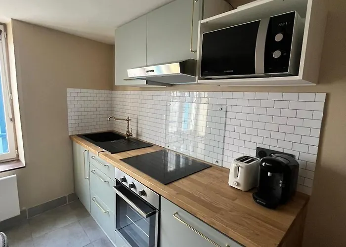 Renove Et Cosy Idealement Situe * Nancy