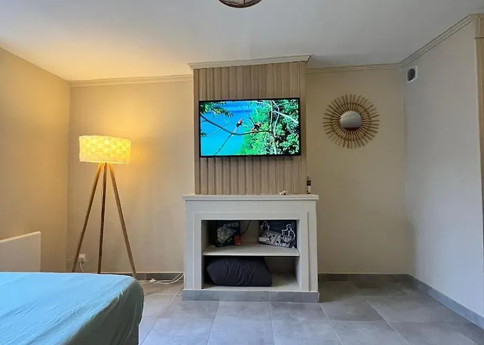 Renove Et Cosy Idealement Situe Apartament